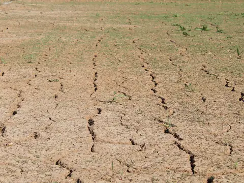 Dry, cracked ground in a field