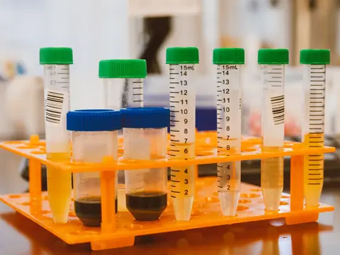 Sample tubes of water standing in a rack at a lab